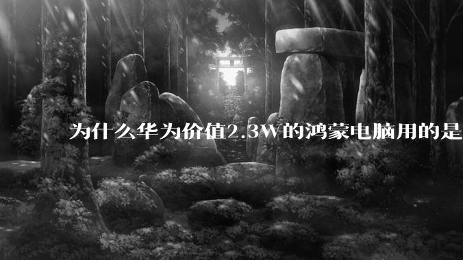 为什么华为价值2.3W的鸿蒙电脑用的是美国西数的SN740固态硬盘?